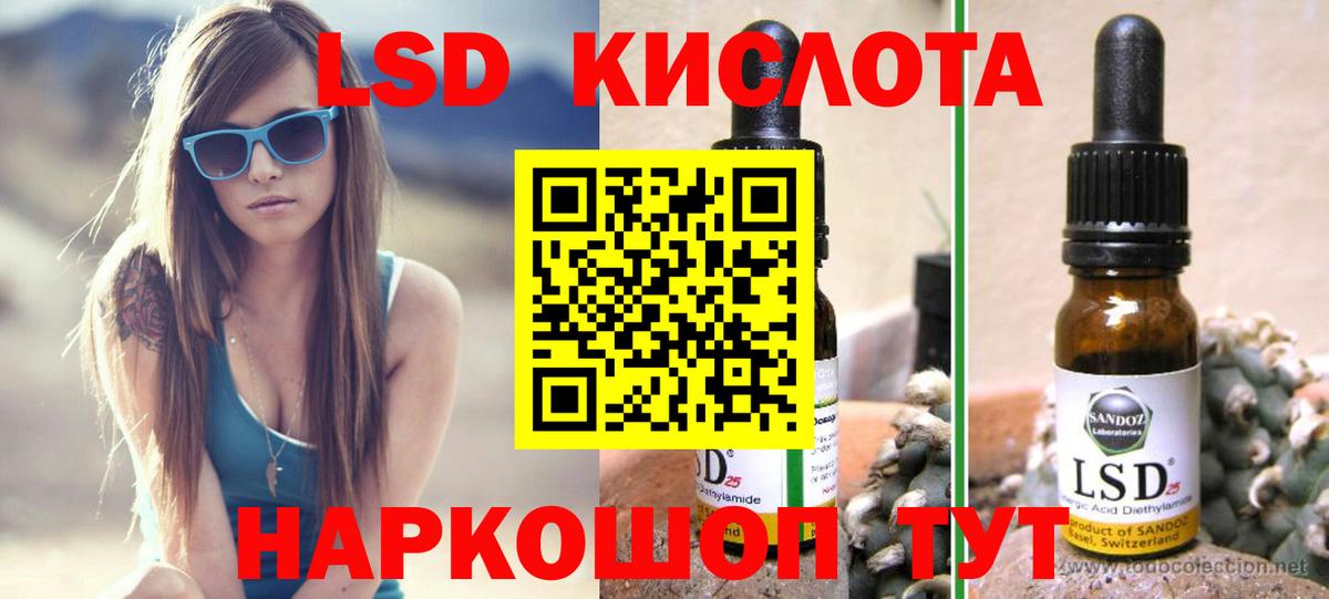 Галлюциногенные грибы Гуково