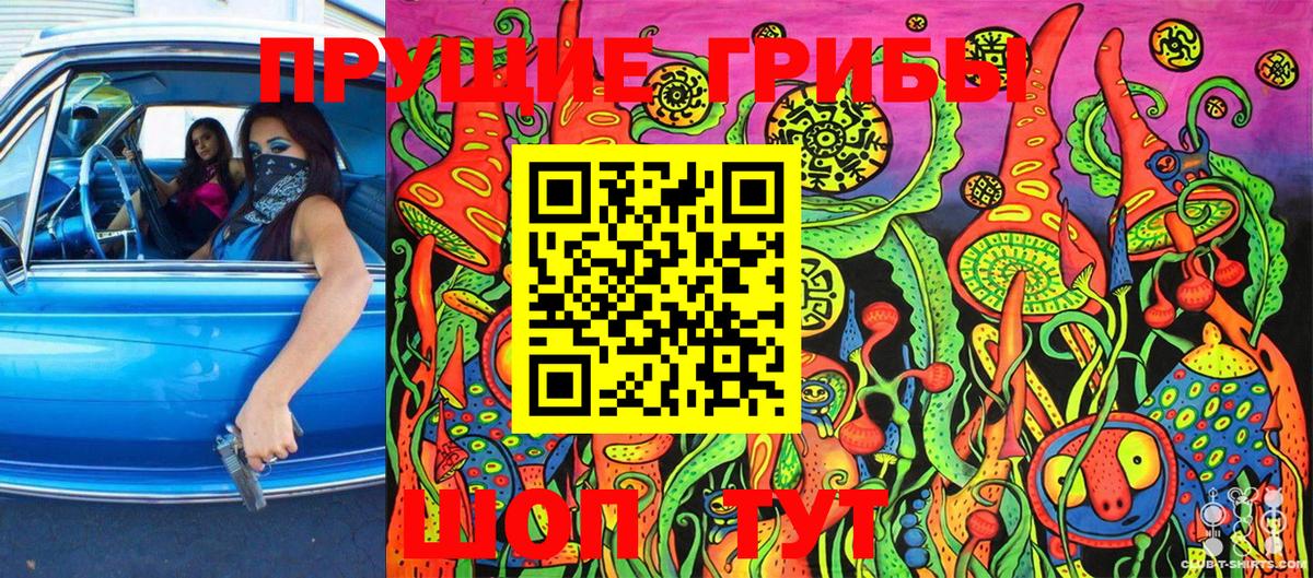 Псилоцибиновые грибы ЛСД  Вход с VPN  Псилоцибиновые грибы ЛСД  Гуково 