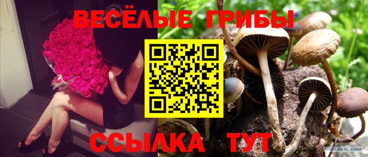 Канабис  Вход с VPN  ГАШ  Гуково  ГАШИШ  Меф кристаллы  КОКАИН 